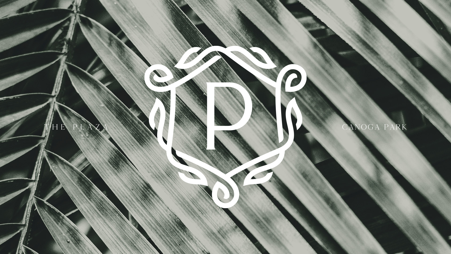 Raintree Partners The Plaza Logo - Unsung Studio Branding
