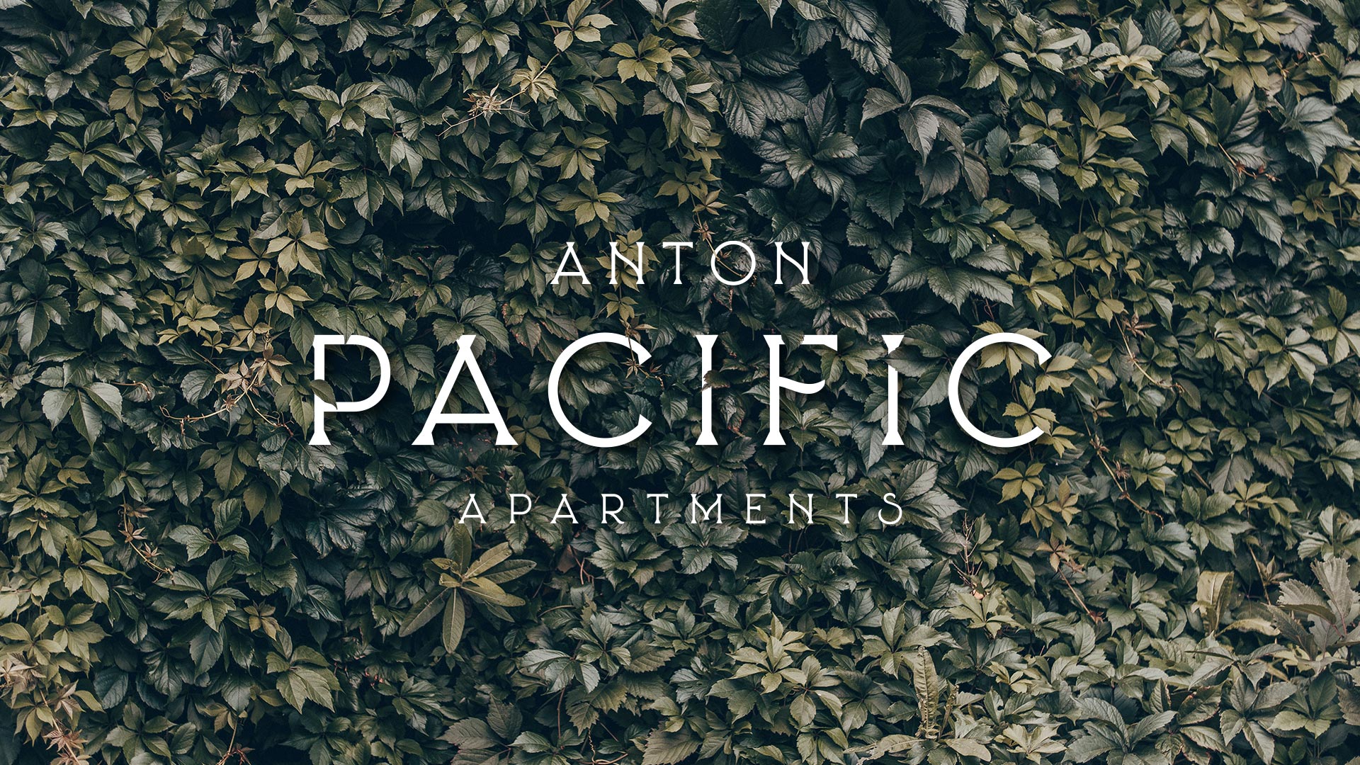 Multi Family Branding Pacific Apartments Unsung Studio Case Study